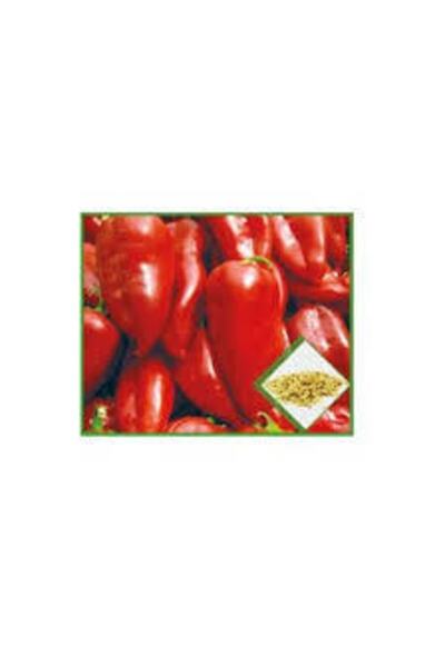 Arzuman Tohum Arzuman Kapya Biber Tohumu(yağlık-salçalık) 10 Gr