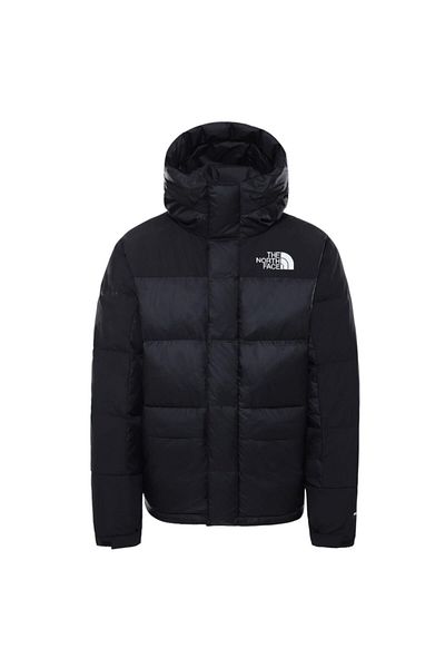 THE NORTH FACE The Northface Men's Hmlyn Down Parka Nf0a4qyxjk31