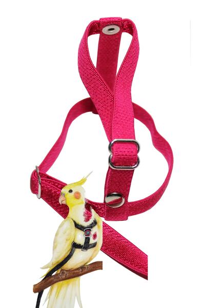 Petcalvit Sevda Cennet Sultan Eğitim Uçurma Tasması Ince Hafif Fuşya