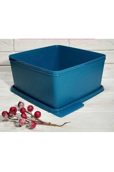 Tupperware Colorful Rectangular 2.5 Liter Blue Storage Container