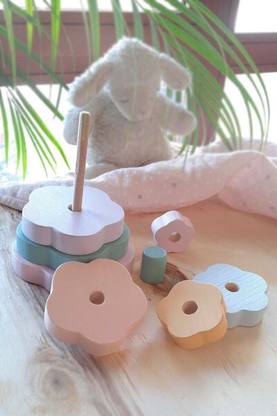 Coolkids Studio Montessori Ahşap Eğitici Halka Oyunu, Renkli