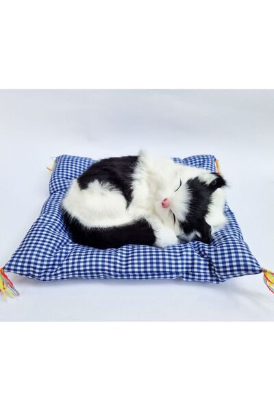 Genel Markalar En Pratik Kedi Köpek Sağlık Ve Temizlik Ürünleri Petshop Toplu...