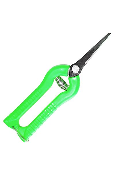ALETÇANTAM Pointed Tip Harvest Collection Scissors - Herb, Flower, Rose, Grape, Leaf, Citrus