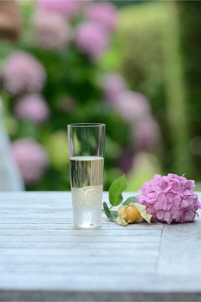 Lale Devri Votka Bardağı