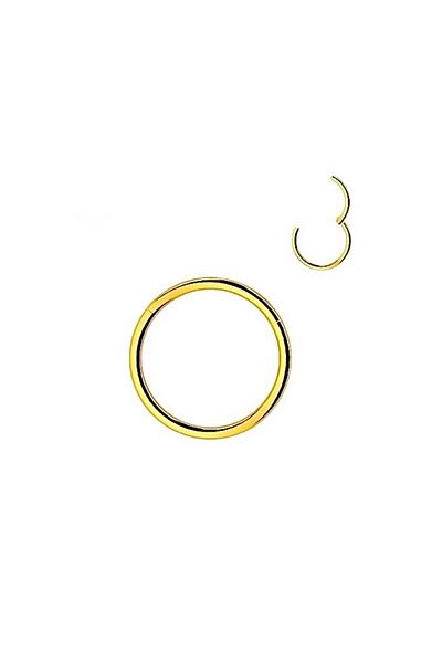 ARASKO Surgical Steel Tragus - Helix, Rook, Lobe, Septum Piercing