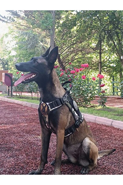 MgTasma Tactical Göğüs Tasması Taktik Tasma