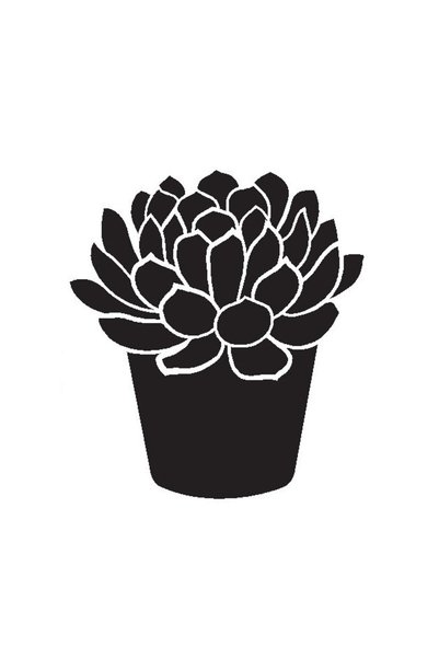 Generic Brand Pot Flower Cactus (Auto-Motor-Laptop-Wall-Decor) (Type 1) 10 x ...