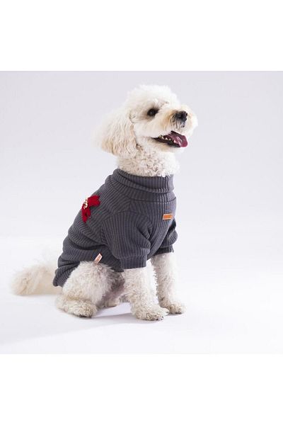 Pawstar (K) Anthracite Turtleneck Dog Sweati Dog Outfit Cat Outfit
