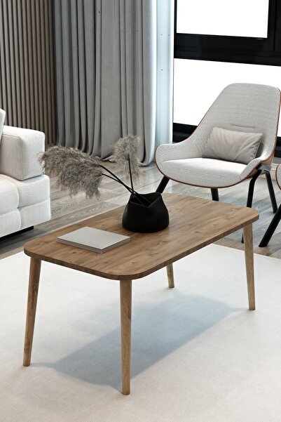 Rectangular Coffee Table Oval Edge Decorative Coffee Table Coffee Table Hornbeam Leg Wood