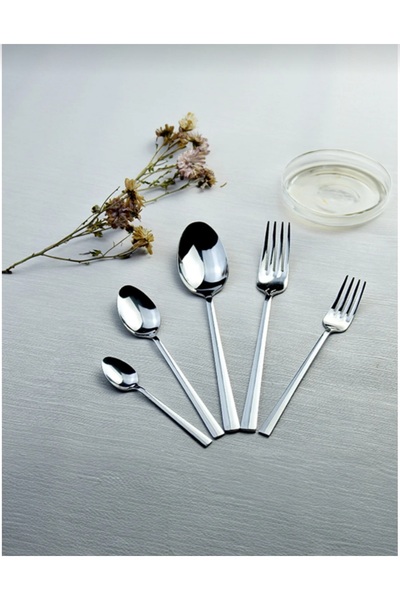 asc.home 18.0 Steel 12-Person 60 Piece Fork and Spoon Set
