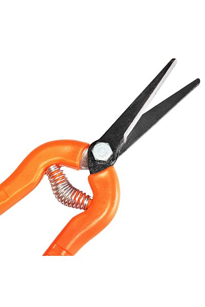 ALETÇANTAM Pointed Tip Harvest Collection Scissors - Herb, Flower, Rose, Grape, Leaf, Citrus