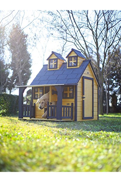 MANDU Ultra Lüks Ahşap Köpek Kulübesi (EVİ) Gold Edition
