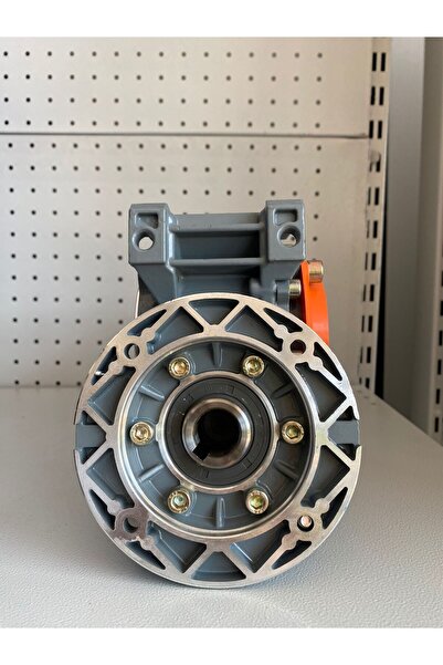 Ferox DNRV50 1/100 80B14 SONSUZ VİDALI REDÜKTÖR