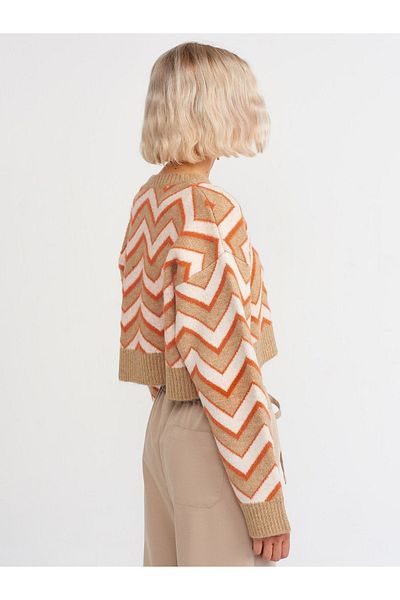 Dilvin 10253 B. Pullover mit Kragenmuster – gelb
