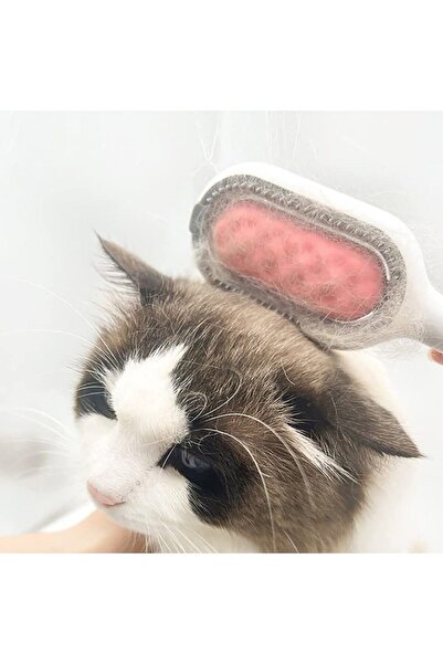 Çilek Kedi Köpek Su Hazneli Tarak