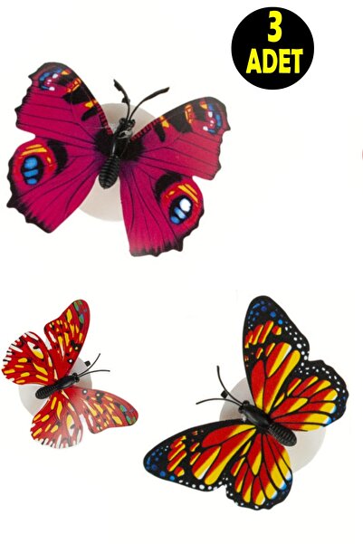 usin 3 ADET Dekoratif Animasyonlu Yapışkanlı Mini Kelebek Gece Süs Lambası 7x...