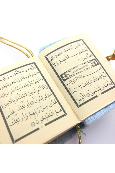 Genel Markalar Mini Kadife Kaplı Kuranı Kerim Gold (1 Adet)