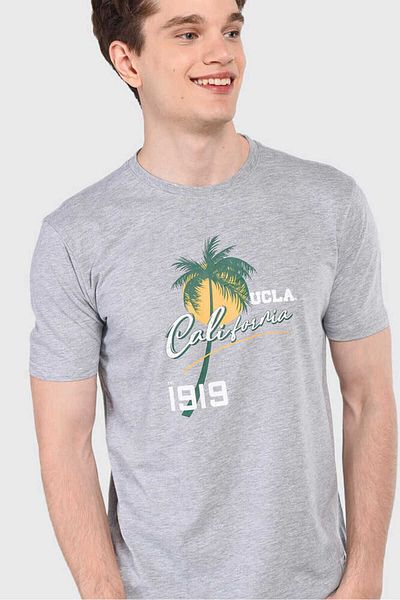 UCLA Alesso Gray Crew Neck Printed Men's T-shirt