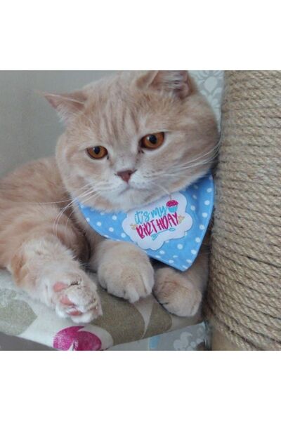 stylie Doğum Günü Temalı Kedi Ve Küçük Irk Köpek Fuları Mavi