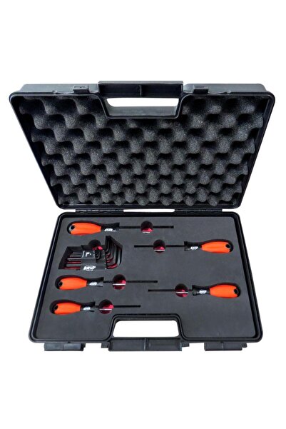 BRIO Tornavida Torx - Allen Seti 14 Parça Çantada (TORK ALYAN SETİ)