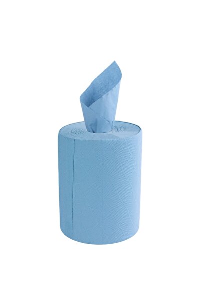 BRIO Temizlik Kağıdı 23x30 2 Kat 300 Yaprak Mavi