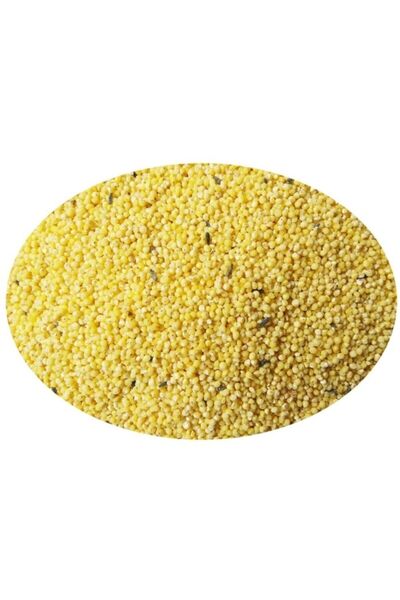 Quik Special Kabuksuz Kuş Yemi 400 Gr (3 Adet)