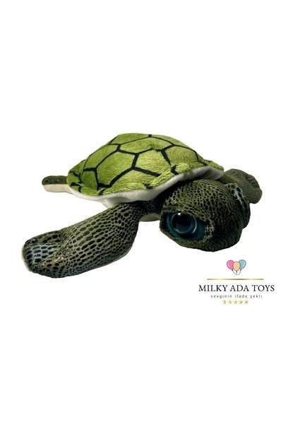 KIZILKAYA CARETTA KAPLUMBAĞA PELUŞ YEŞİL BÜYÜK GÖZ KÜÇÜK 23 cm X 24 BÜYÜK cm3...