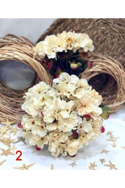 evdeki atölyem Hydrangea Bunch of Flowers