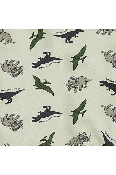 Antebies The Adventure of Dinosaurs Sweatshirt Size: 0-3 Months