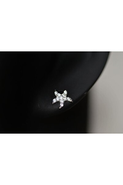 TREND Deniz Yıldızı 925 Ayar Gümüş Küpe