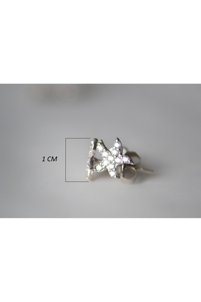 TREND Deniz Yıldızı 925 Ayar Gümüş Küpe