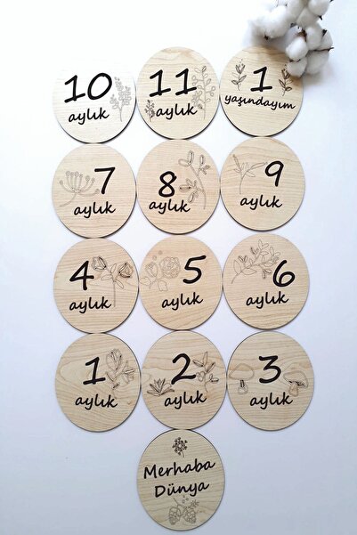 EYL Home Children's Room 12 Month Plaque Set Wooden Baby Photo Cards