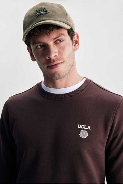 UCLA VALLEY Brown Crew Neck Printed Standard Fit Men's Sweatshirt
