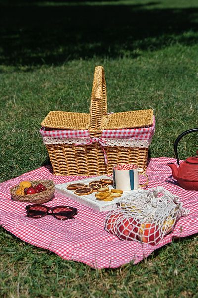SepetçiBaba Adelya Picnic Basket - Plastic Wicker Look FRS205