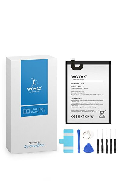 woyax by Deji Reeder P13 Blue Max Pro (256GB) / Blue Max Pro 2021 Batarya
