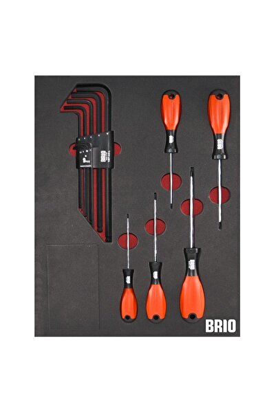 BRIO Tornavida Torx (TORK) Seti Ve Allen Seti Uzun 14 Parça Sünger Yataklı