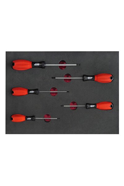 BRIO Tornavida Seti Torx (TORK) 5 Parça T10-t30 Sünger Yataklı