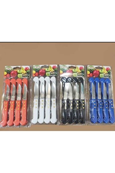 ERVAS HOME 12 Li Meyve Baçağı