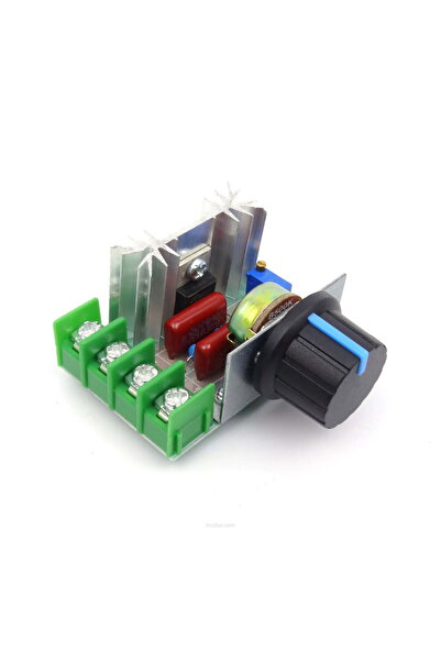 Trudyo Ac 220v 2000w Motor Hız Kontrol Kartı
