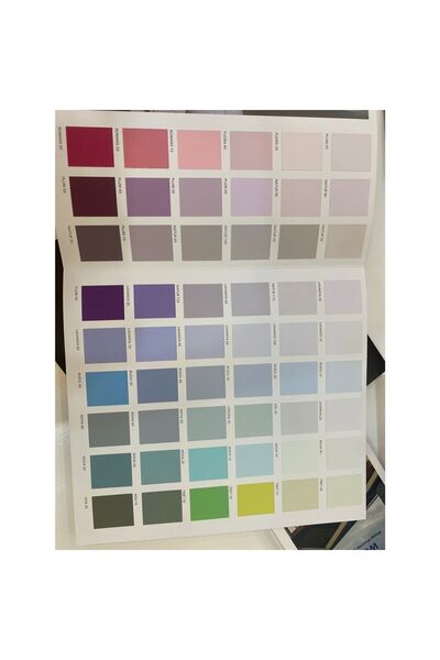 Nippon Paint Nippon Moss Soft Mat Tam Silinebilir Iç Cephe Boyası 13.5 Lt