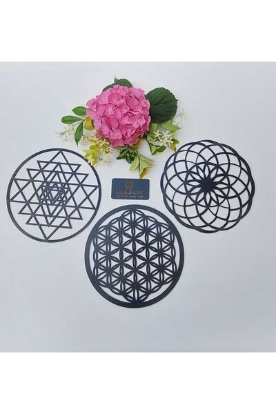 BELİNAY ÇOCUK DÜNYASI FLOREA VIEȚII SRİ YANTRA ȘI TORUS SET DE 3 GEOMETRIE SA...