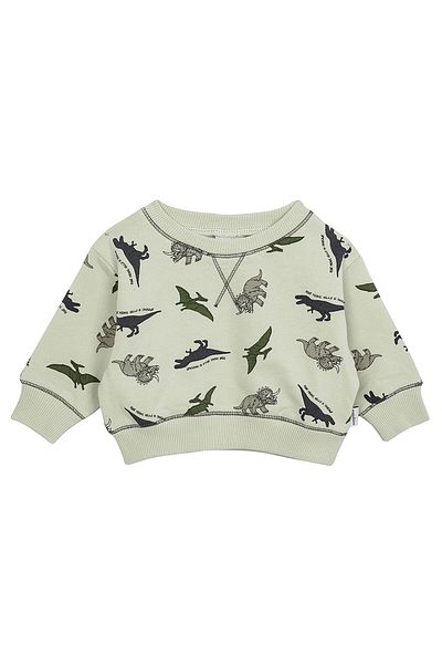 Antebies The Adventure of Dinosaurs Sweatshirt Size: 0-3 Months