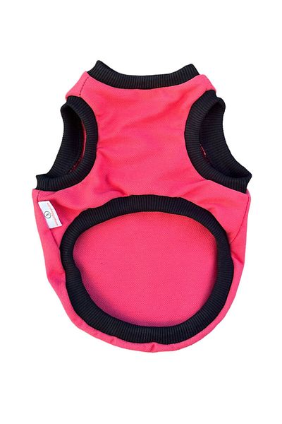 PetiliDünya California pink - Athlete Clothes for Dogs and Cats