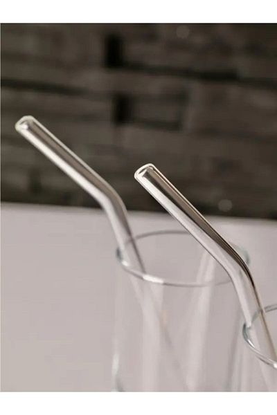 İLBEY Life Transparent 2-Piece Glass Inclined Straw
