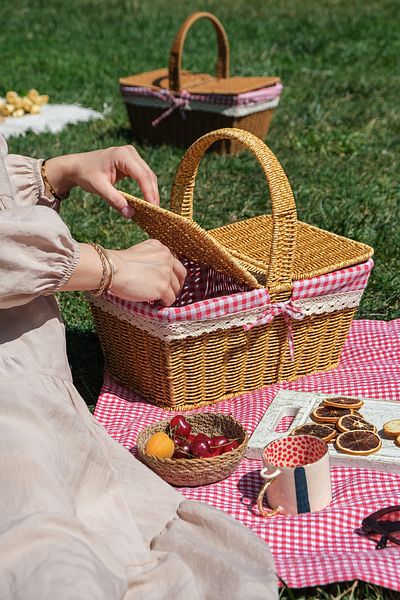 SepetçiBaba Adelya Picnic Basket - Plastic Wicker Look FRS205