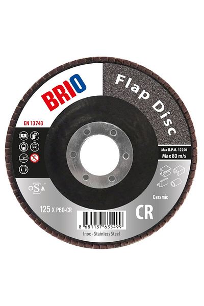 BRIO Flap Disk 125xp60 Cr