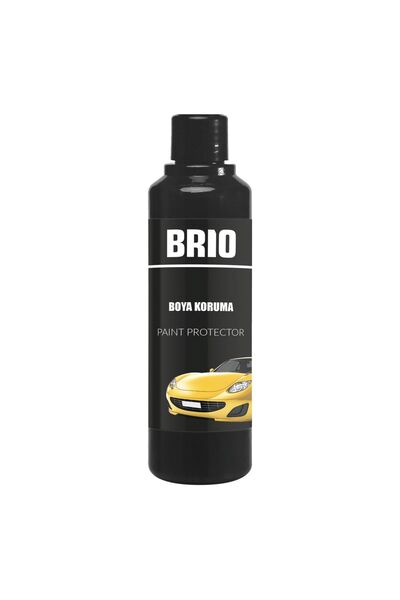 BRIO Boya Koruma 250 ml