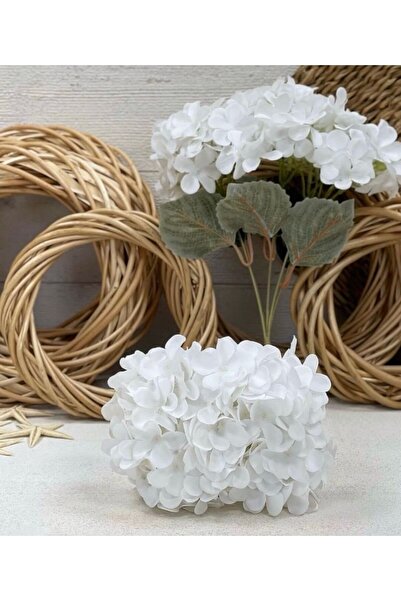 evdeki atölyem Τεχνητό σύμπλεγμα ορτανσίας