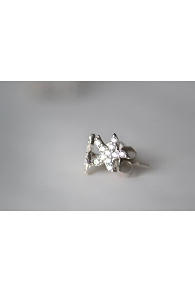 TREND Deniz Yıldızı 925 Ayar Gümüş Küpe