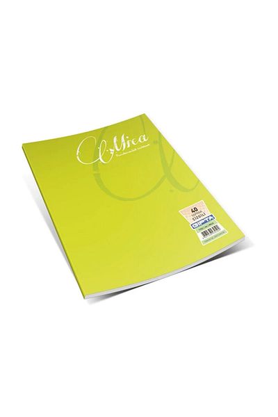 Gıpta Mica Wire Stitching Pp Cover Notebook (a4)-40 Sheets Plain